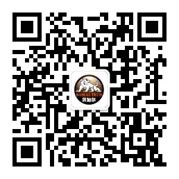掃描手機(jī)訪(fǎng)問(wèn)